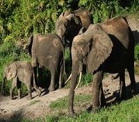 Shimba Hills Lodge
